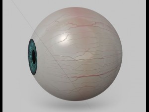 eyeball Modelo 3D