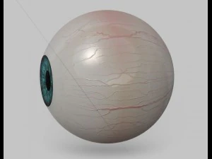 eyeball 3D Model