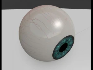 eyeball 3D Model