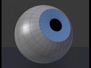eyeball 3D Model