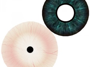 eyeball Modelo 3D