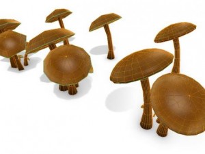 mushrooms Modello 3D