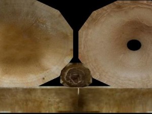 mushrooms Modello 3D