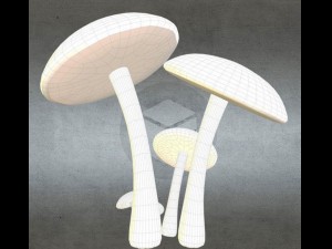 mushrooms Modello 3D