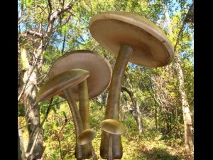 mushrooms 3D Model