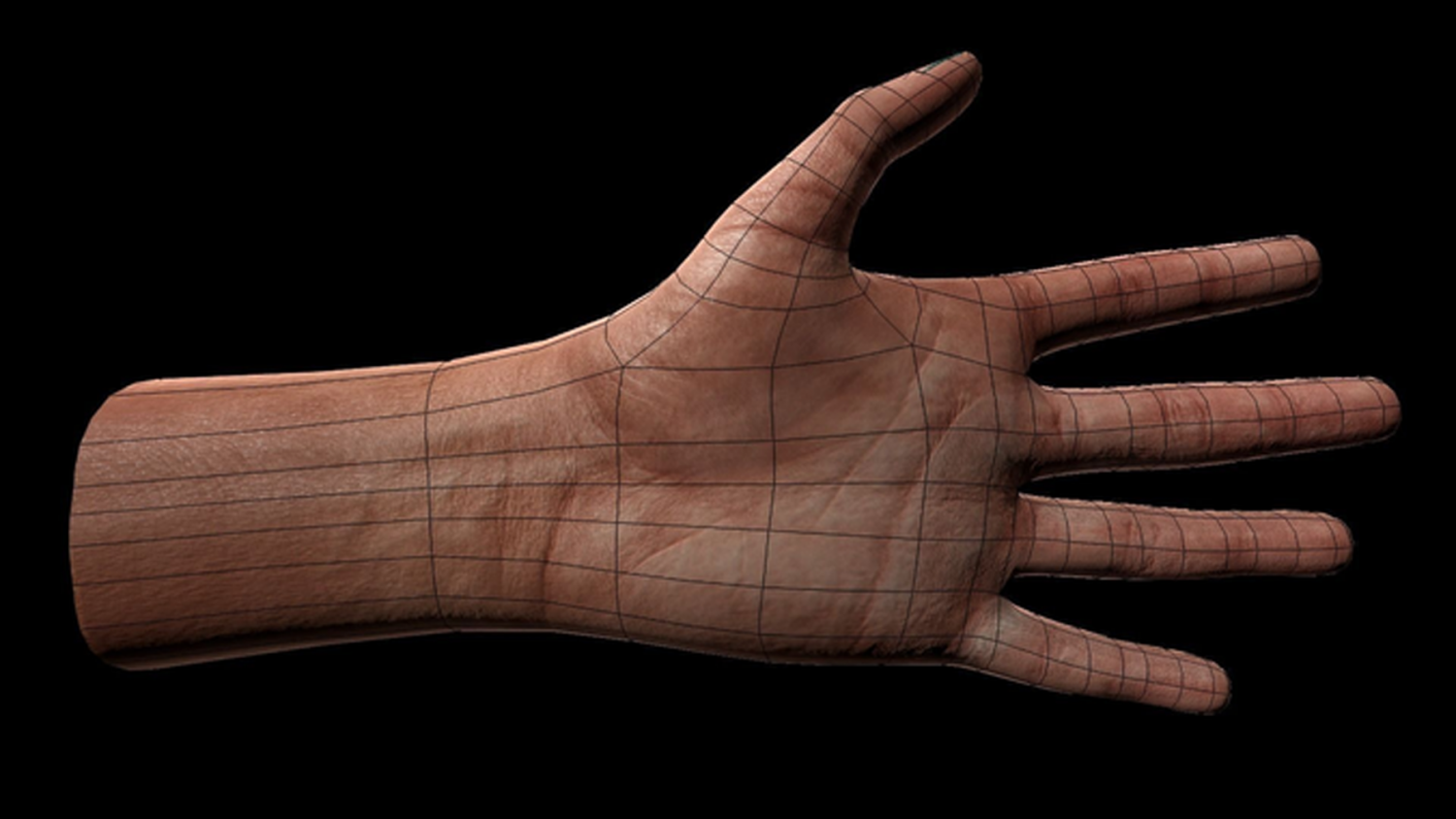 Rigged Hands 3D Model in Anatomy 3DExport