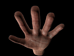 rigged hands Modello 3D