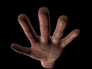 装備された手 3Dモデル