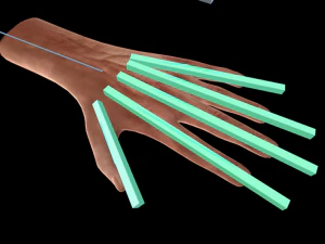 装備された手 3Dモデル