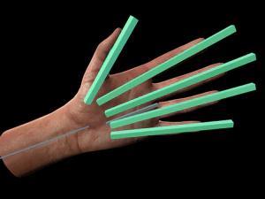 装備された手 3Dモデル