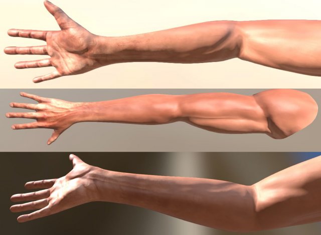 fps arms game ready 3D Model .c4d .max .obj .3ds .fbx .stl .blend 