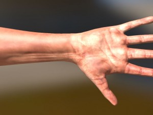 fps arms game ready 3D Model