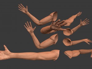 fps arms game ready 3D Model