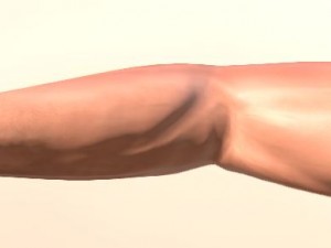 fps arms game ready 3D Model