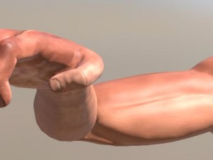 fps arms game ready 3D Model