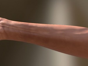 fps arms game ready 3D Model