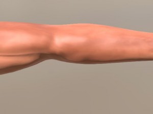 fps arms game ready 3D Model