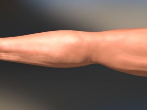 fps arms game ready 3D Model