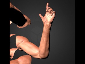 fps arms game ready 3D Model