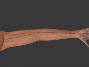 fps arms game ready 3D Model