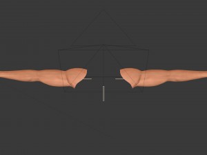 fps arms game ready 3D Model