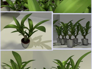 indoor pot plant 3D Model