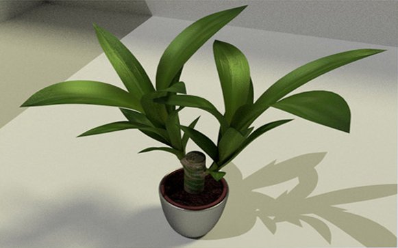 indoor pot plant 3D Model .c4d .max .obj .3ds .fbx .stl .blend