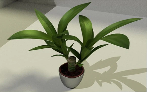 indoor pot plant 3D Model .c4d .max .obj .3ds .fbx .stl .blend 