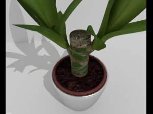 indoor pot plant 3D Model