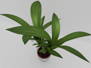 indoor pot plant 3D Model