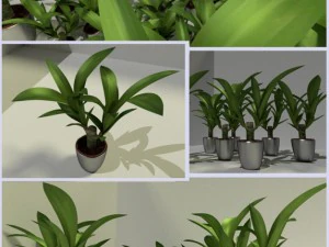 bge building 3D Model