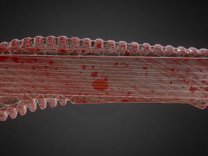 box cutter lowpoly bloody version Model 3D