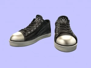 chucks 55 unifootwear 3D Model
