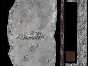 construction garbage 3D 模型