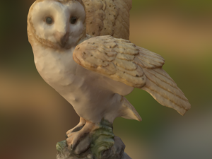 barn owl 3D Print Model
