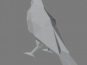bird - bullfinch 3D Print Model