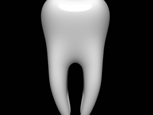tooth Modelo 3D