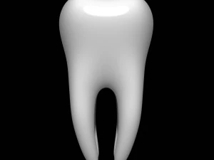 tooth 3D Model