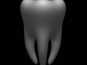tooth Modelo 3D