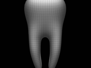 tooth Modelo 3D