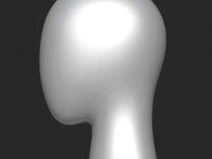 mannequin head Model 3D