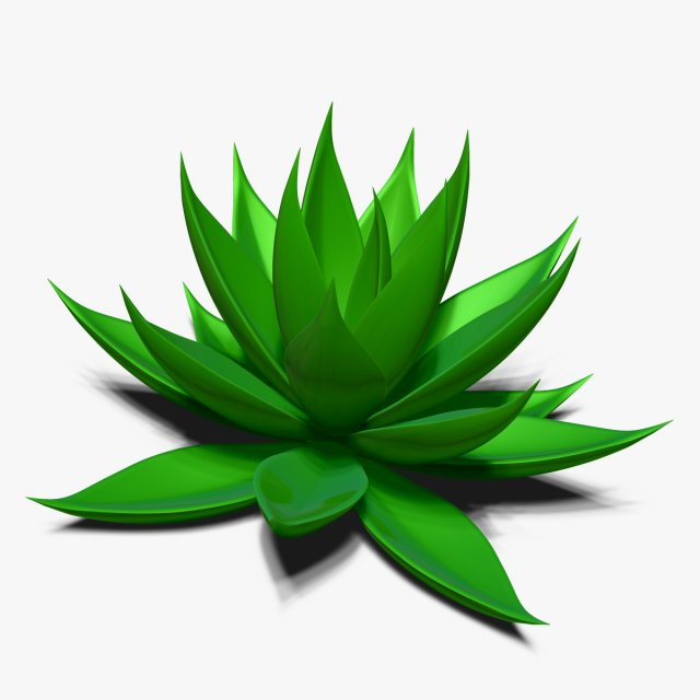 agave aloe Modello 3D .c4d .max .obj .3ds .fbx .stl .blend