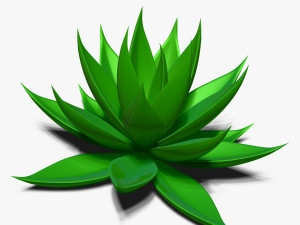 agave aloe Modèle 3D