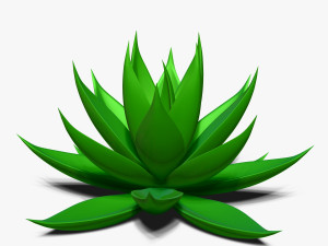 agave aloe Modello 3D