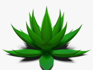 リュウゼツラン アロエ 3Dモデル