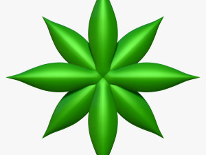agave aloe Modello 3D