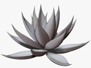 リュウゼツラン アロエ 3Dモデル