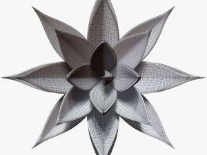 agave aloe Modello 3D