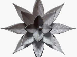 リュウゼツラン アロエ 3Dモデル