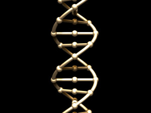 dna chain 3D Model